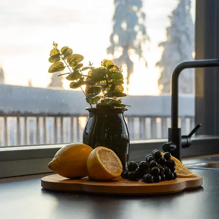 Apartament West Peak View By In Lapland Levi
